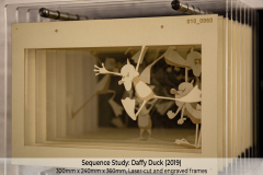011_Sequence-Study_Daffy-Duck_Pic-02