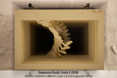 012_Sequence-Study_Goofy-II_Pic-01