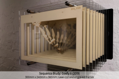 012_Sequence-Study_Goofy-II_Pic-02